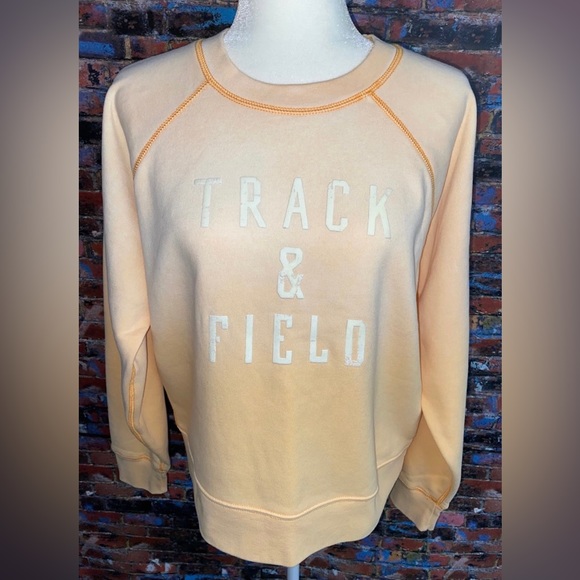 American Eagle Crewneck Sport Graphic Pullover Crop Ombre’ Sweatshirt Size Large - Picture 2 of 4